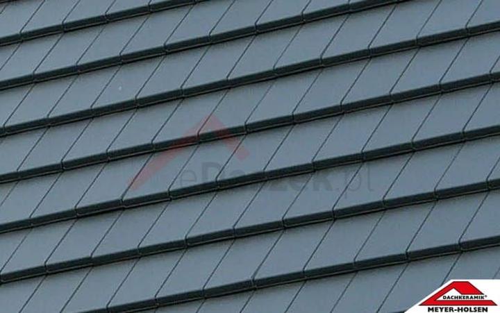 Elegancja i nowoczesność: Dachówka Meyer Holsen Piano jako idealne pokrycie dla Twojego domu