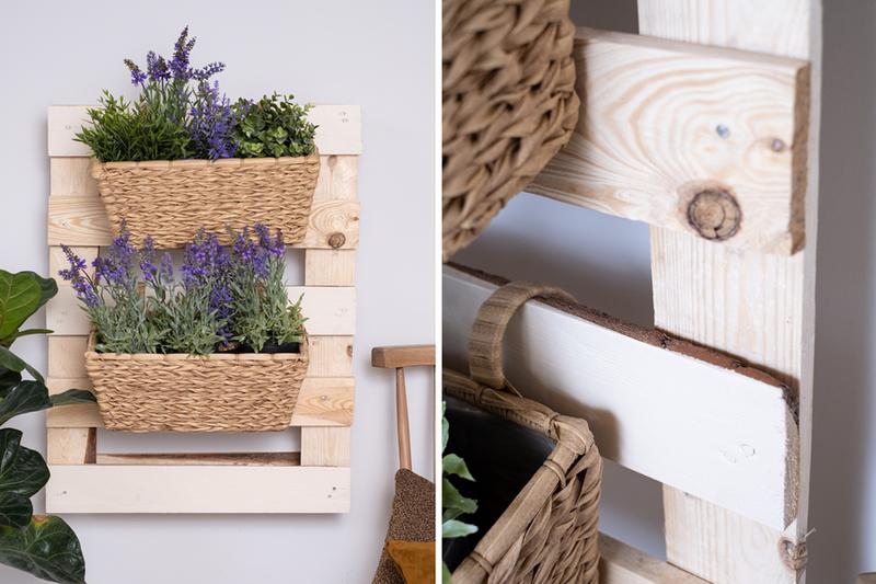 Kwiaty na wiosenne aranżacje