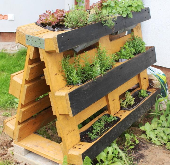 Najmodniejsze rośliny doniczkowe