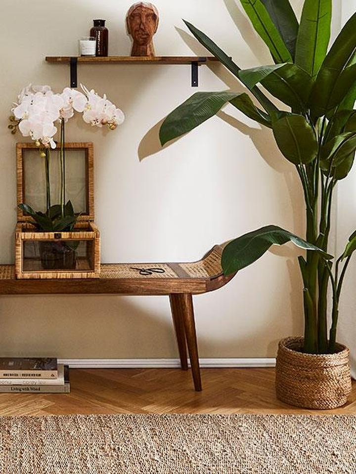 Pielęgnacja roślin w domu