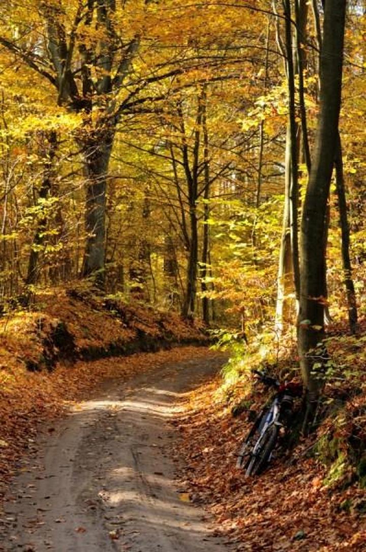 Przytulna przestrzeń na jesień