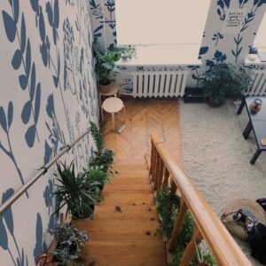 Kwiaty do przedpokoju: Odkryj 10 odpornych na cień roślin, które ożywią Twoją przestrzeń