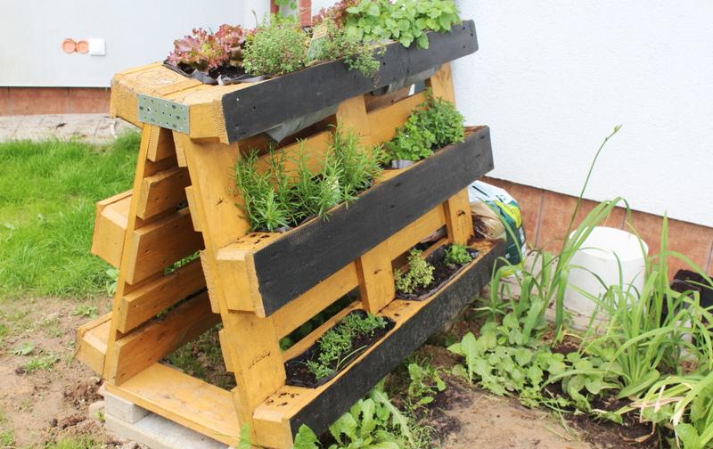 Zachwyć swój kwietnik z palet: jakie kwiaty wybrać na wyjątkową aranżację?