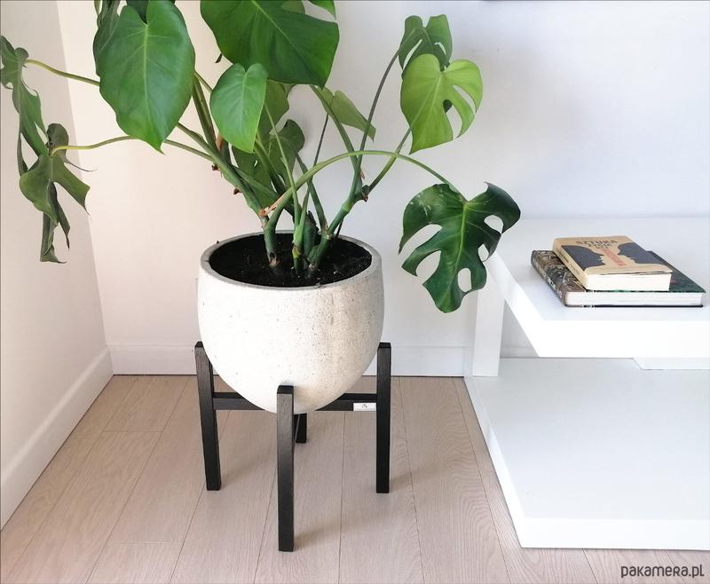 Dbałość o rośliny