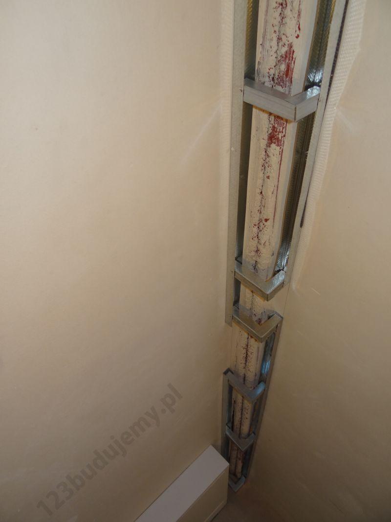 Rośliny w aranżacji wnętrz