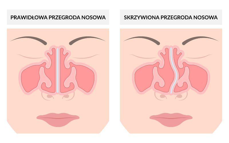 Meble jako przegrody stref