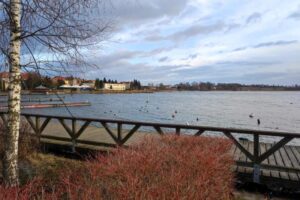 Jak linie na bloga mogą pomóc w budowaniu spójnej tożsamości i przyciąganiu uwagi?