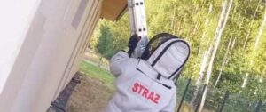 Sprawdzone sposoby na usunięcie pszczół z komina: bezpieczne metody i porady ekspertów