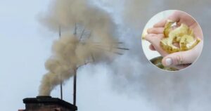 Palenie obierek z ziemniaków w kominie – niebezpieczny mit, który warto obalić