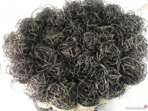 Odkryj najlepsze miejsca na zakupy: gdzie kupić wiórki do parkietu w 2025 roku?