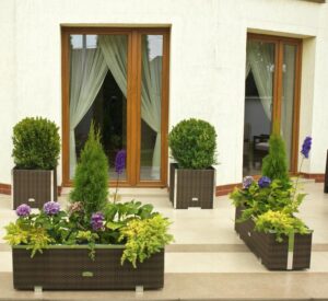 Stwórz zjawiskową aranżację donic wokół tarasu w 5 prostych krokach