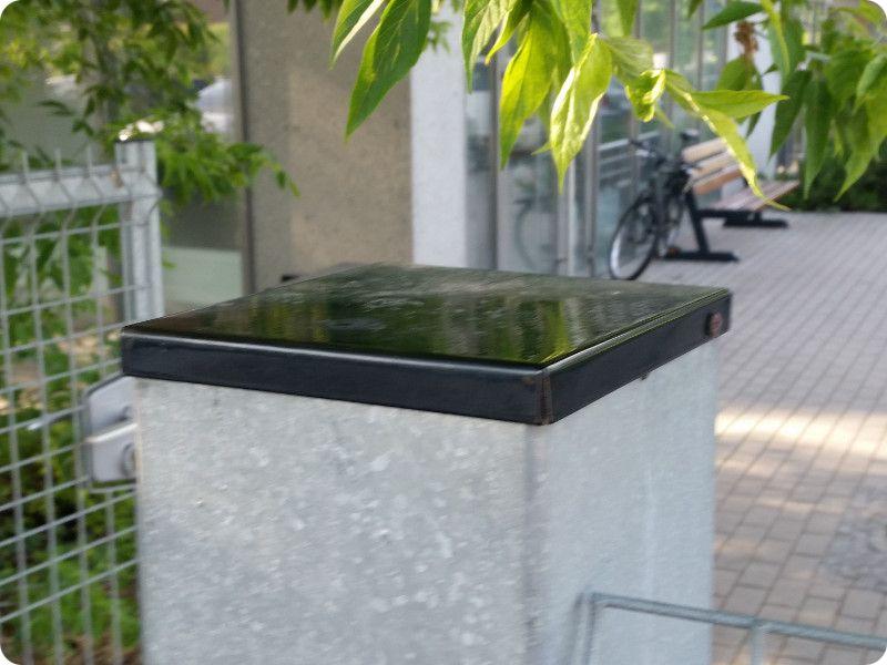 Estetyka i ochrona ogrodzenia