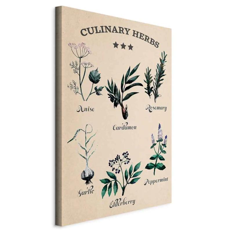 Domowa uprawa roślin jadalnych